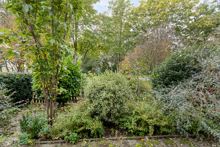 Foto 4 van Ebbenhorst 1