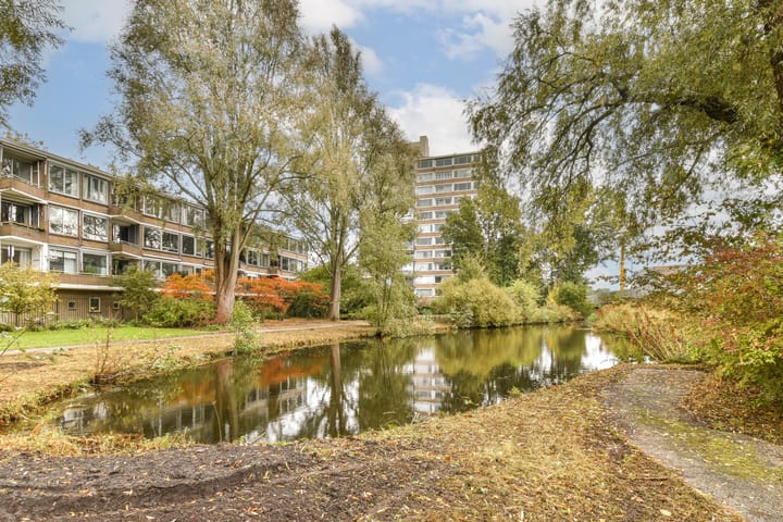 Photo 16 of Meander 355