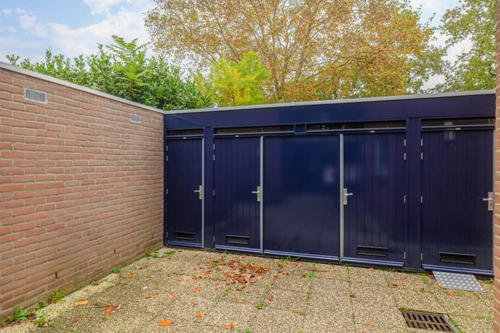 Foto 6 van Tolhuis 4256