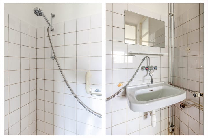 Foto 18 van Tolhuis 4256