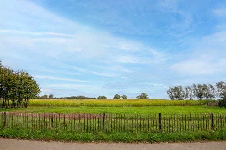 Foto 1 van Boompjes 4-A