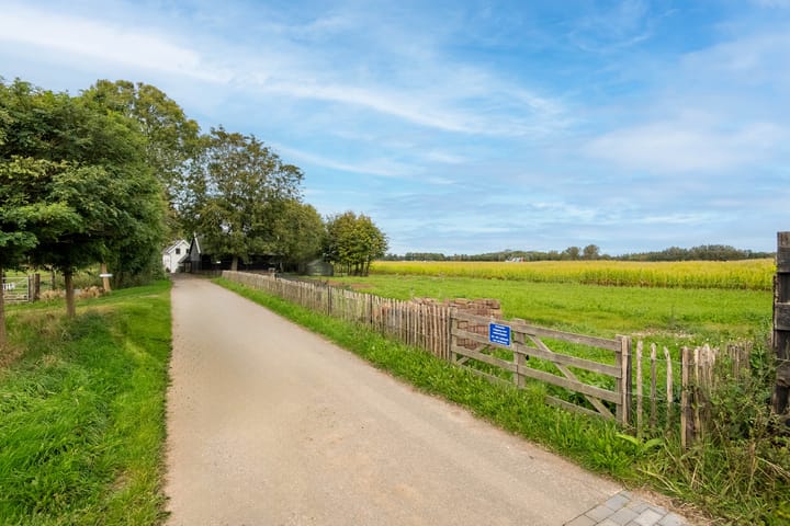 Foto 2 van Boompjes 4-A