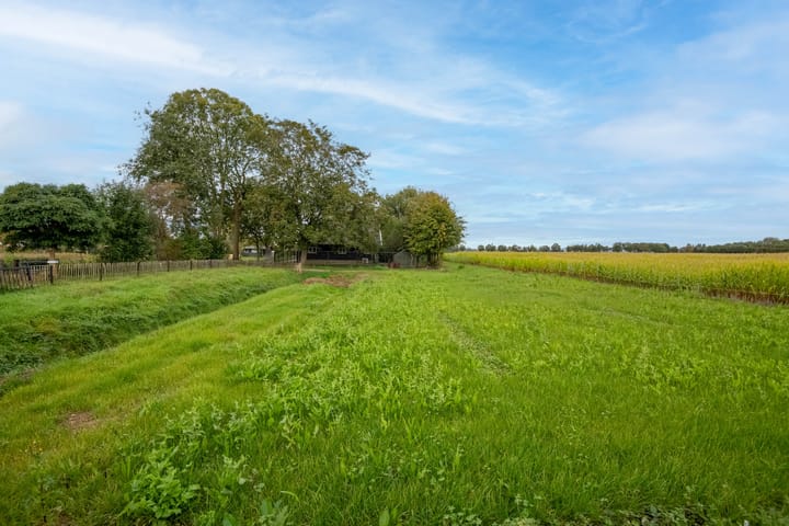 Foto 3 van Boompjes 4-A