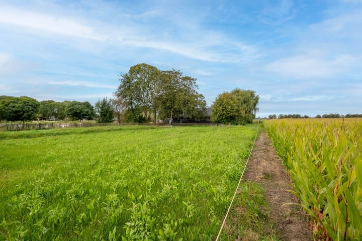 Foto 4 van Boompjes 4-A