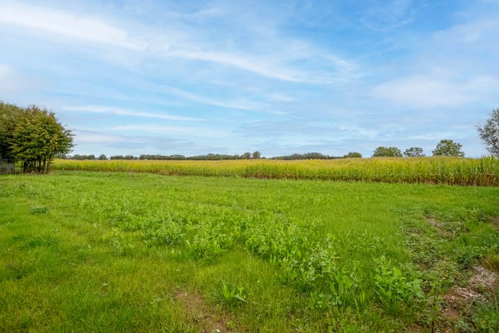 Foto 6 van Boompjes 4-A