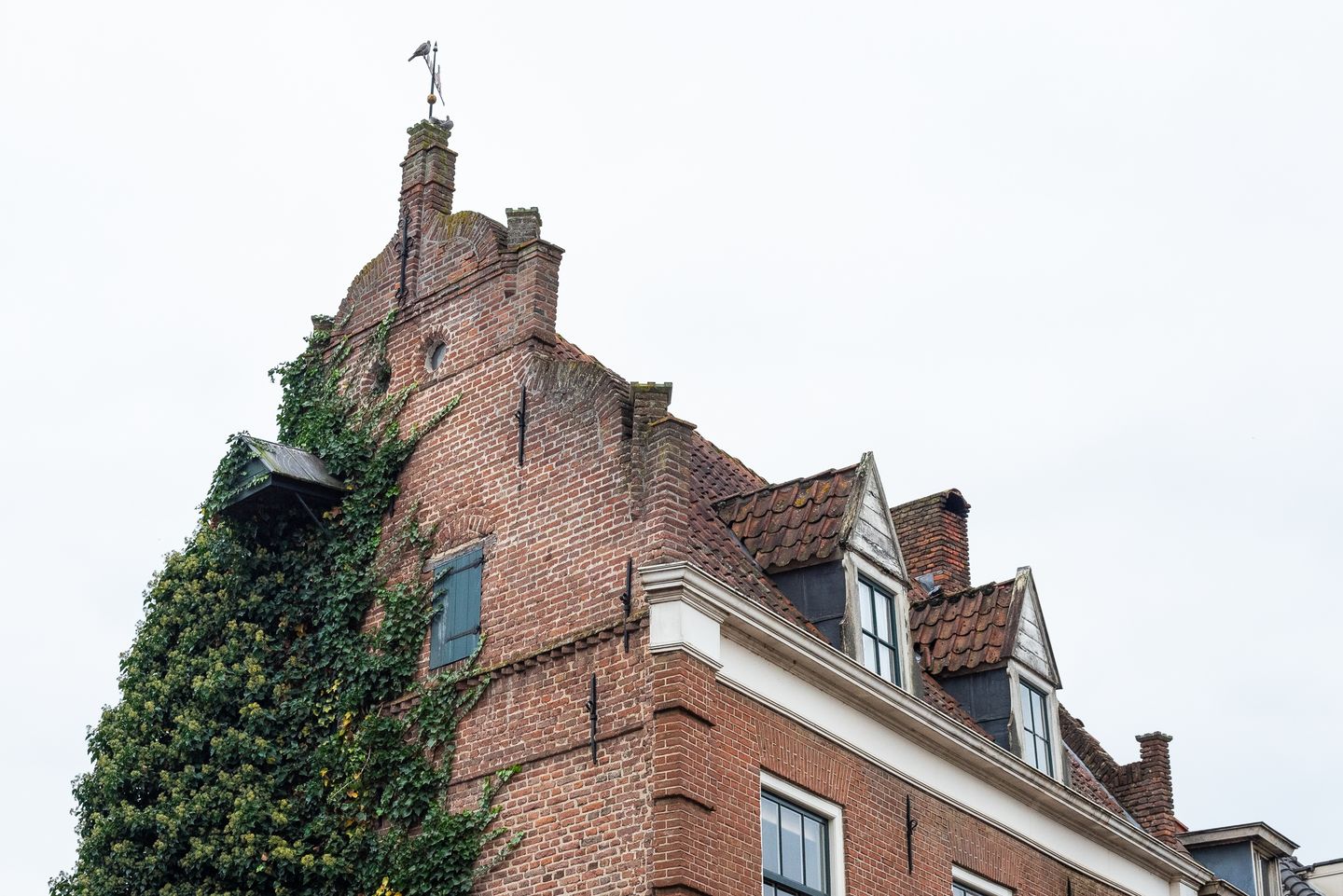 Foto 44 van Meipoortstraat 32