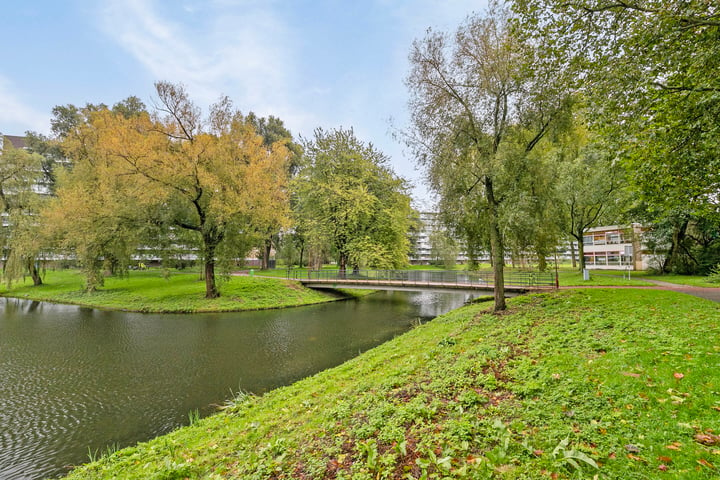 Bekijk foto 43 van Kadoelerbos 126