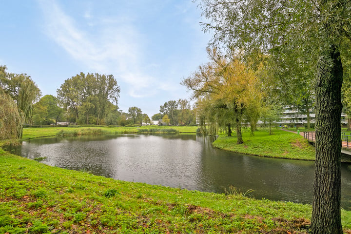 Bekijk foto 47 van Kadoelerbos 126