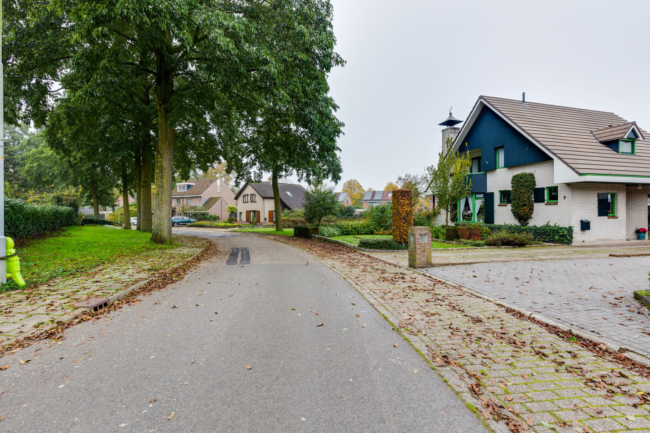 Photo 57 of De Hare 7