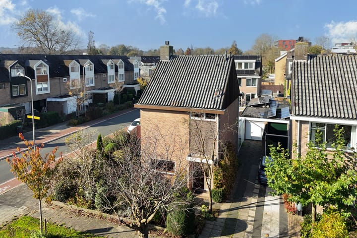 Foto 1 van Laanacker 1