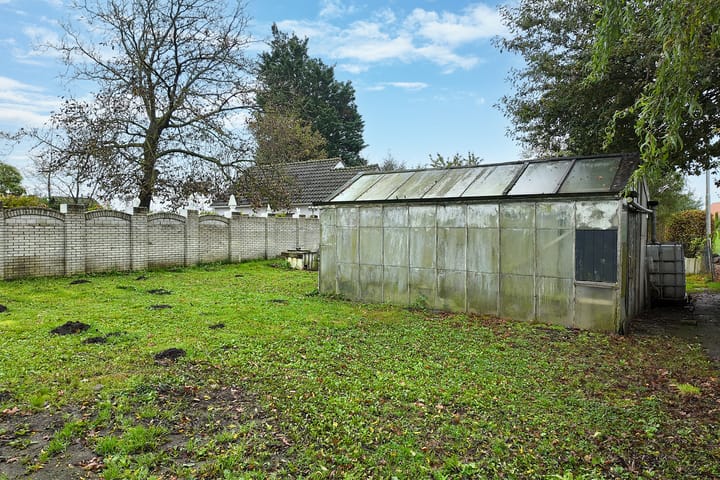 Foto 6 van Pelikaan 10