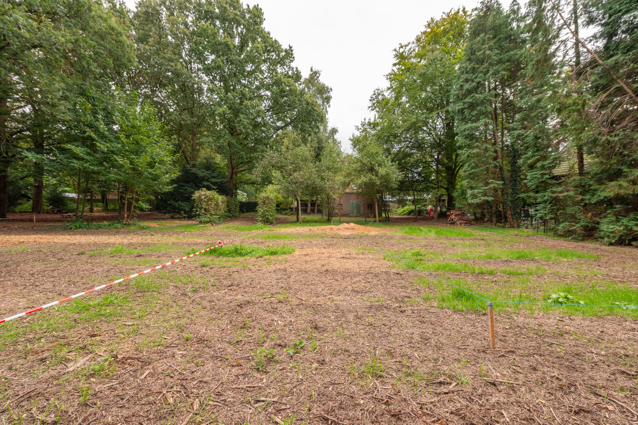 Kleinloolaan, Driebergen-Rijsenburg, 3971PK, Utrecht, Nederland  