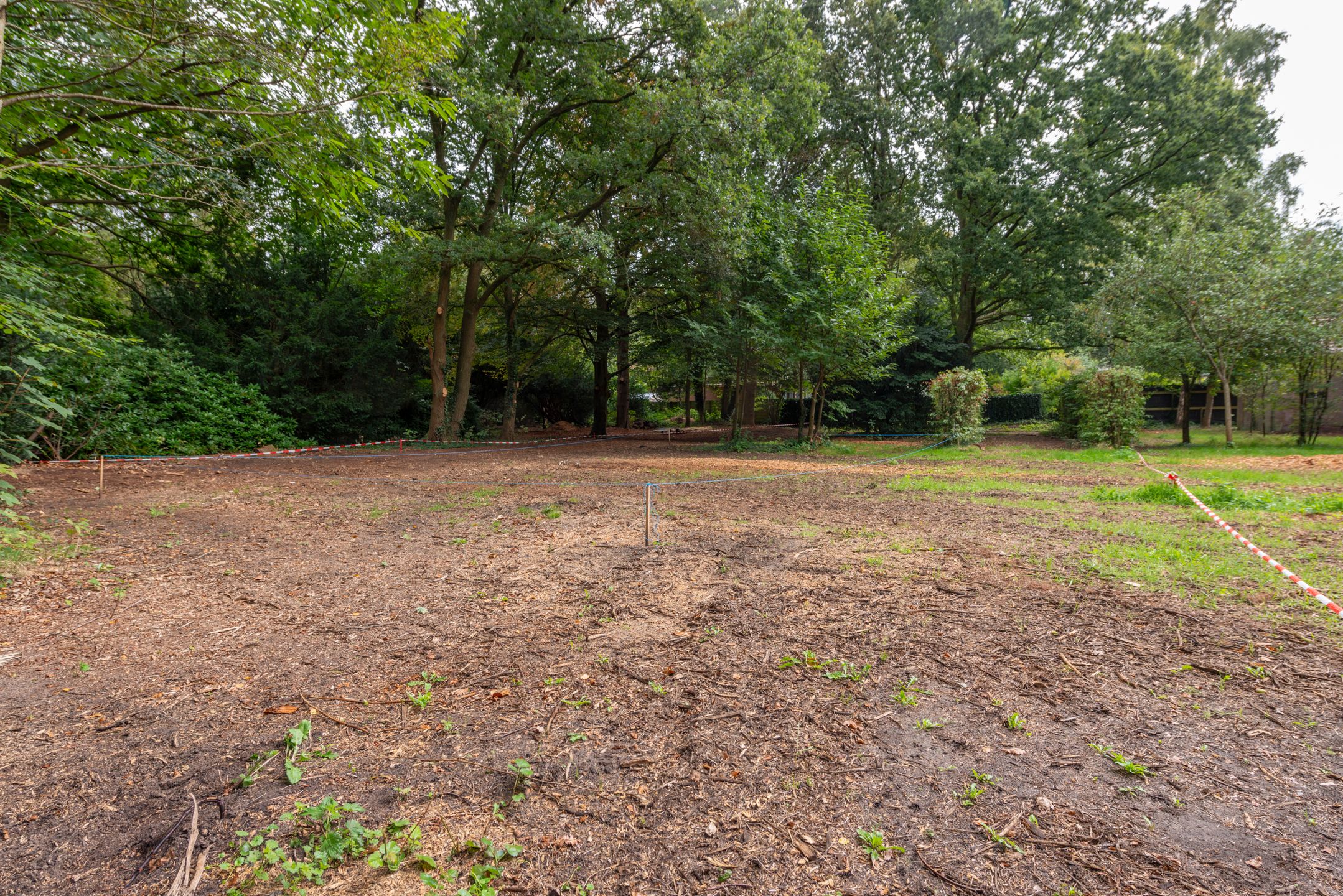 Kleinloolaan, Driebergen-Rijsenburg, 3971PK, Utrecht, Nederland  