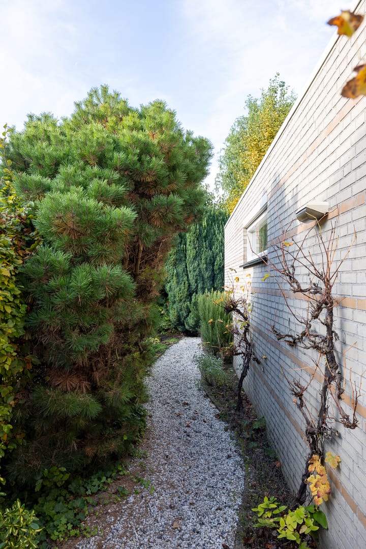 Foto 41 van Gerardus van Sillevoldtstraat 22