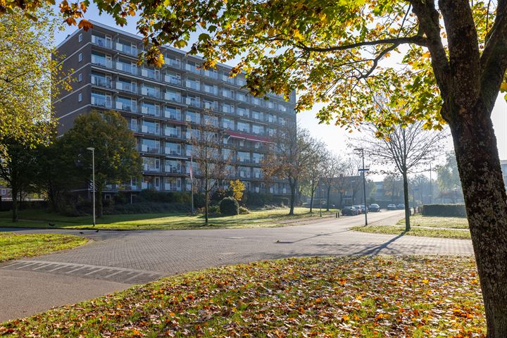 Bekijk foto 12 van Aagje Dekenlaan 119