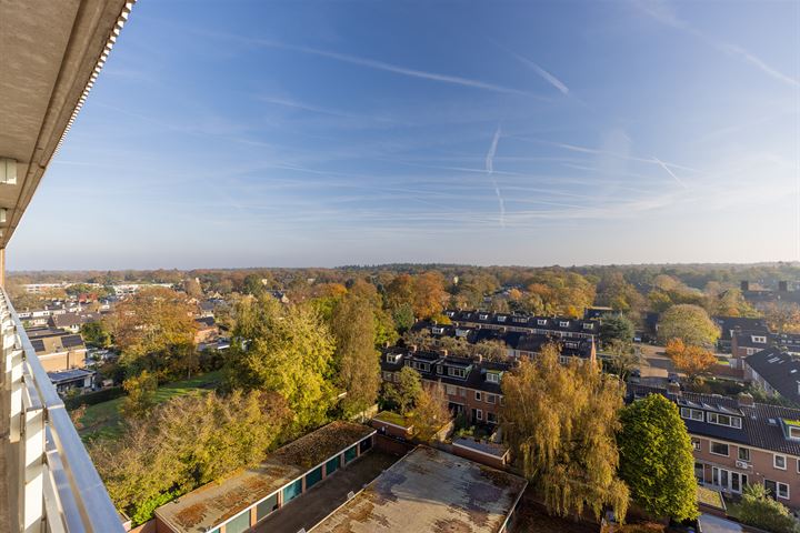 Bekijk foto 10 van Aagje Dekenlaan 119