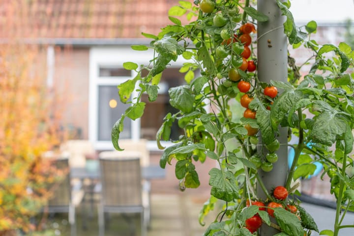 Foto 33 van De Driesprong 4