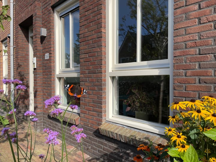 Foto 7 van Westhove 161