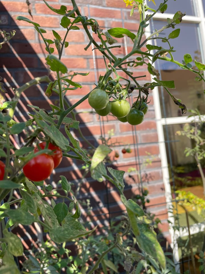 Foto 28 van Westhove 161