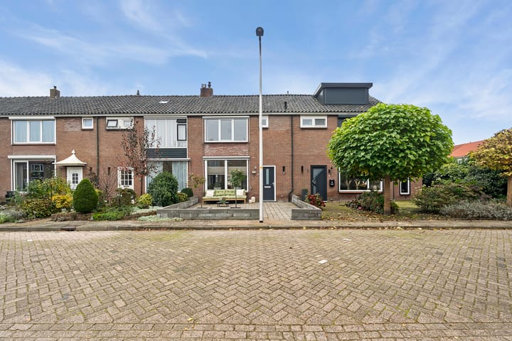 undefined main image