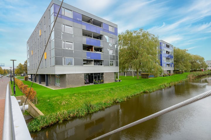 Foto 7 van Schaapskuilmeer 97