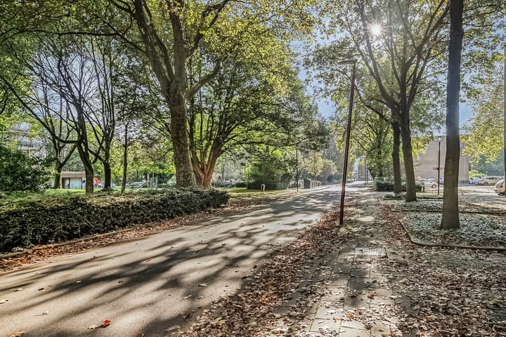 Photo 18 of Wenckebachplantsoen 28