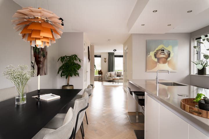 Foto 2 van Leonard Springerlaan 481