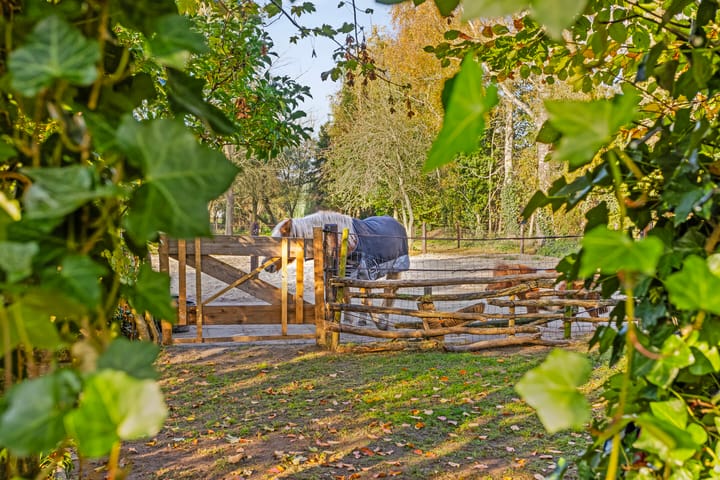 Foto 52 van Veneweg 44