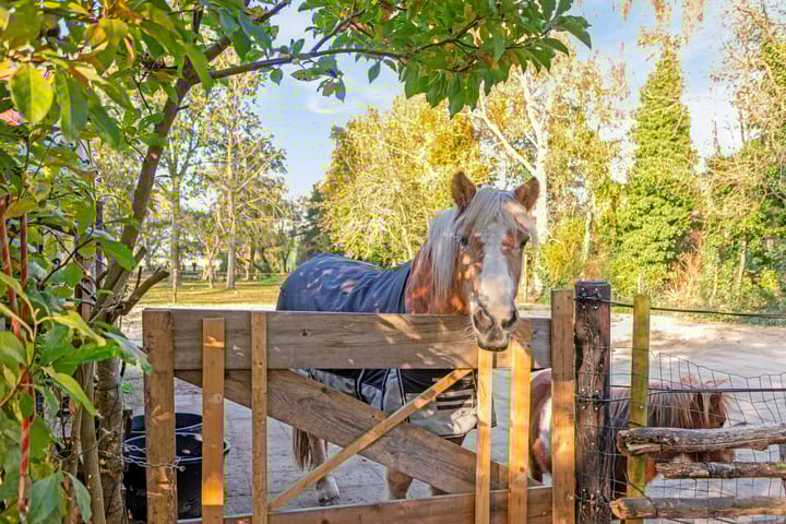 Foto 54 van Veneweg 44