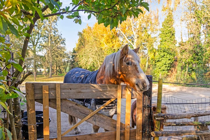 Foto 55 van Veneweg 44