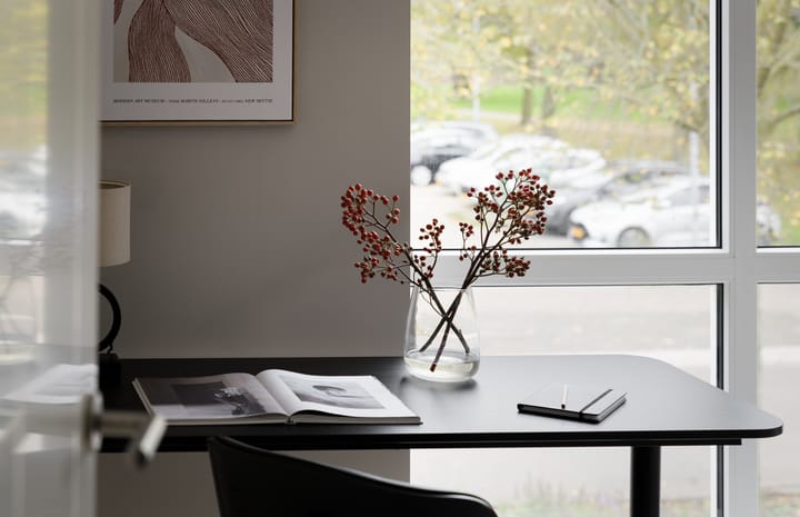 Foto 26 van Leonard Springerlaan 481