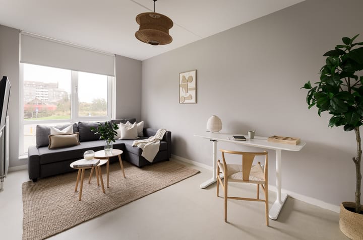 Foto 28 van Leonard Springerlaan 481