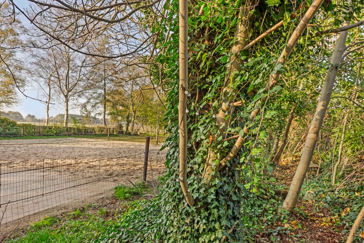 Foto 61 van Veneweg 44