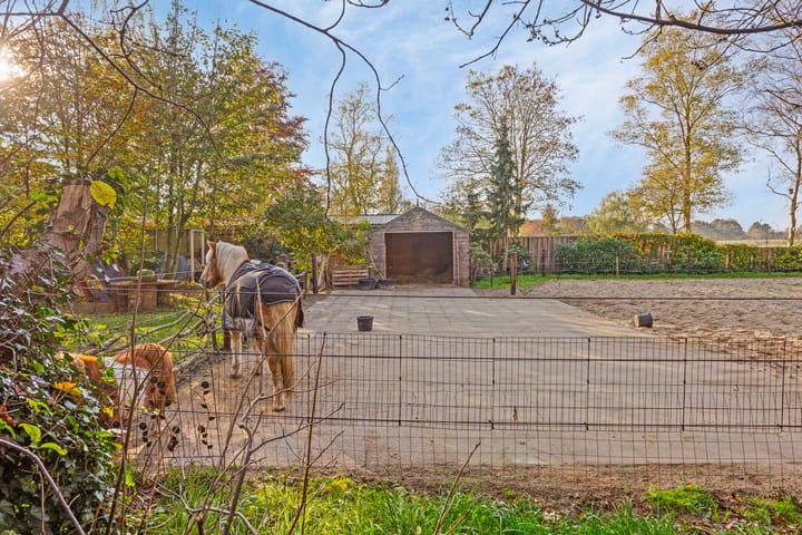 Foto 62 van Veneweg 44