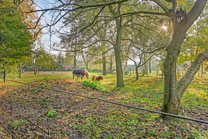 Foto 64 van Veneweg 44