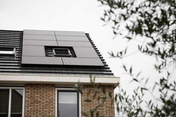 Foto 45 van Leonard Springerlaan 481