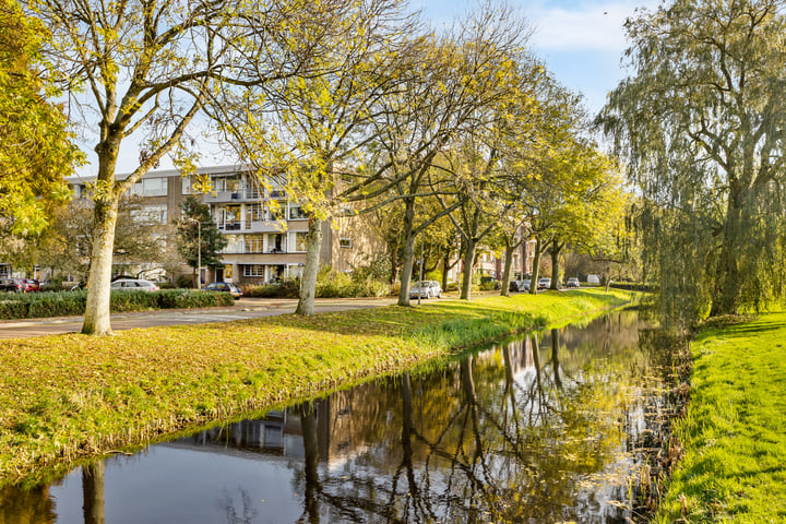 Bekijk foto 24 van Schubertplantsoen 3