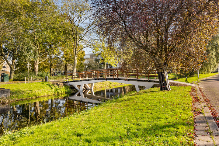 Bekijk foto 25 van Schubertplantsoen 3