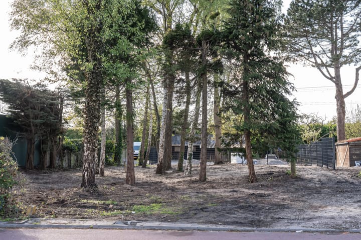 Foto 8 van Leidsevaart 2