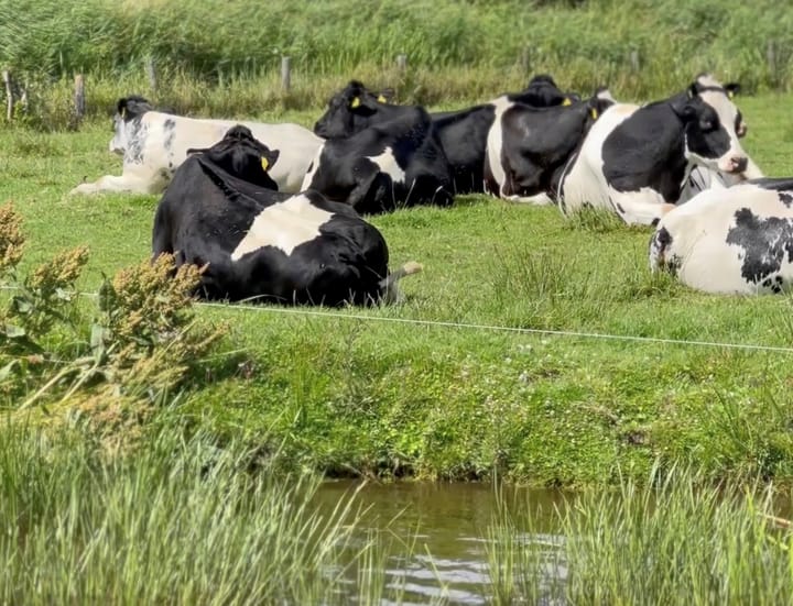 Foto 16 van Rijksstraatweg 78-C28