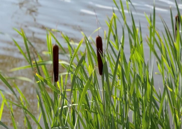 Foto 14 van Rijksstraatweg 78-C28