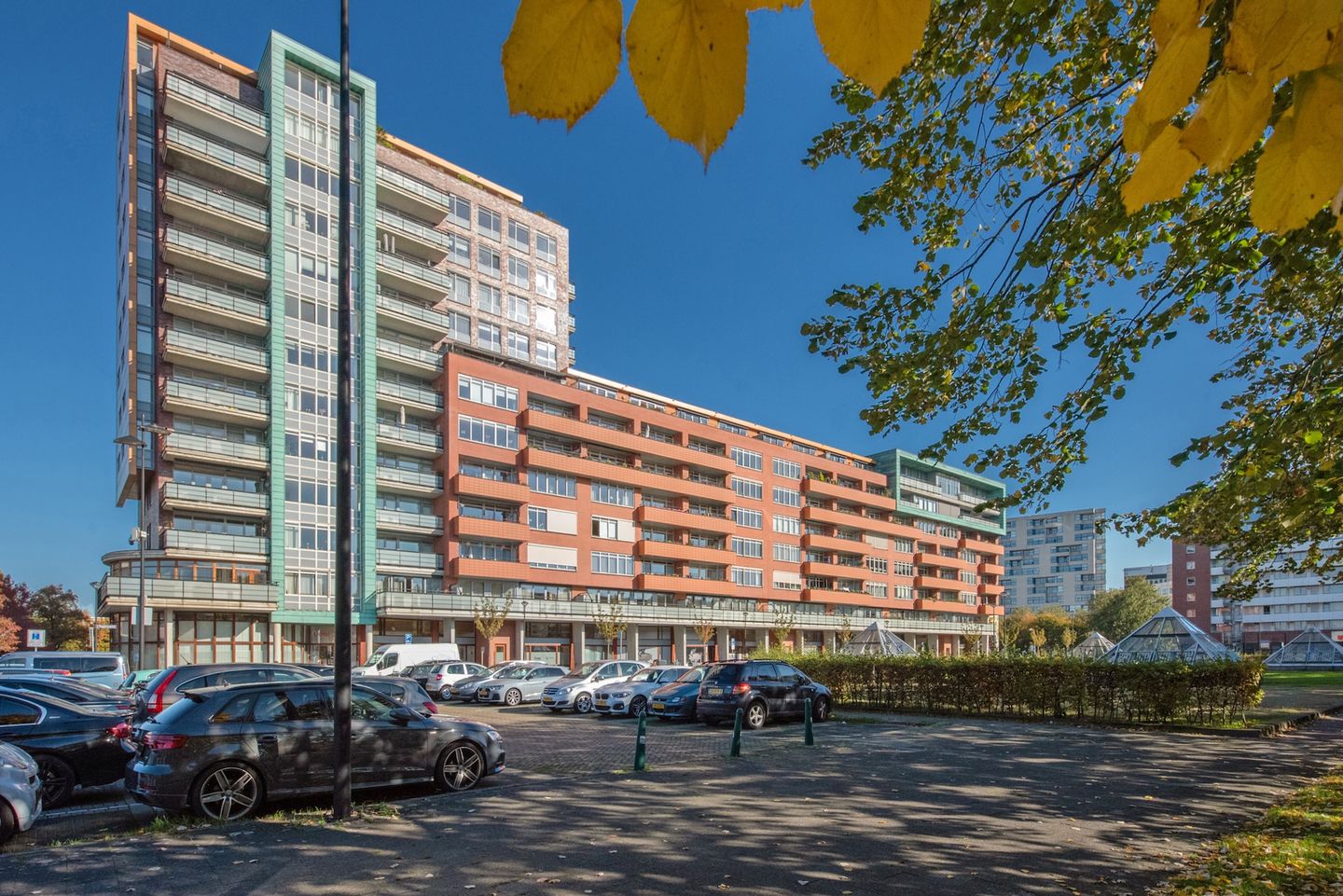 Foto 1 van Papyruspad 115