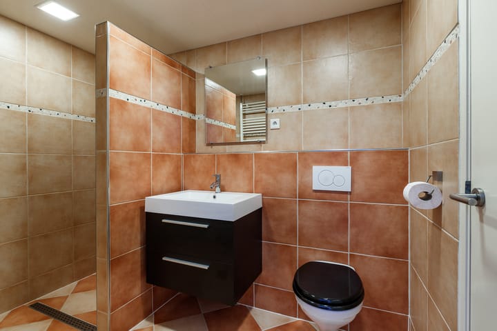 Foto 8 van Pieter Bothstraat 13