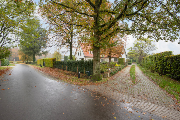 View photo 41 of Hessenweg 1