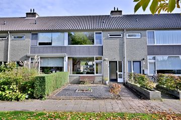 Patrijsstraat thumbnail