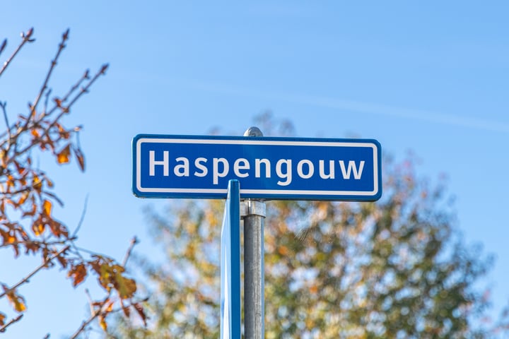 Bekijk foto 2 van Haspengouw 48