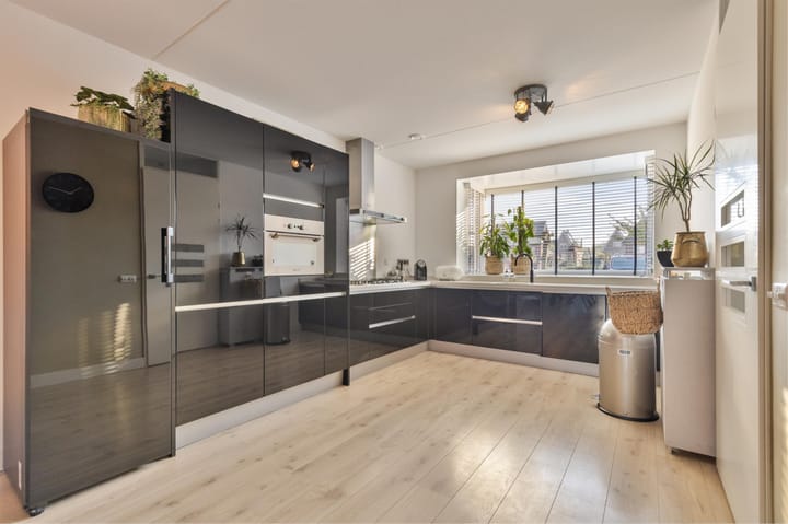 Foto 5 van Ringslang 2