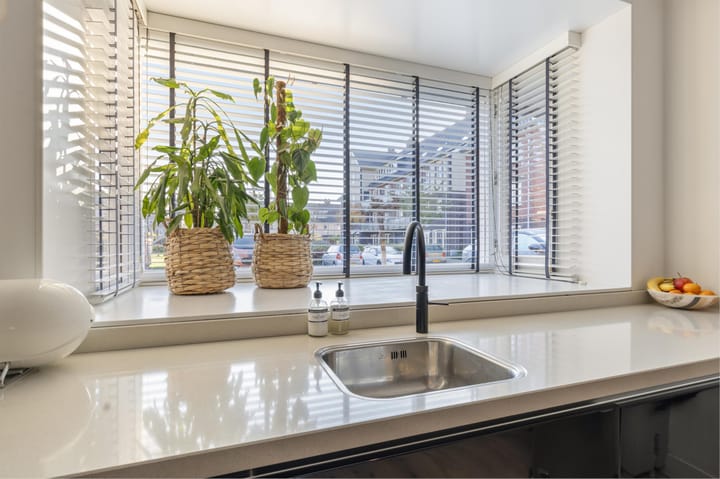 Foto 6 van Ringslang 2