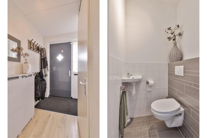 Foto 12 van Ringslang 2