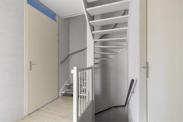 Foto 14 van Ringslang 2